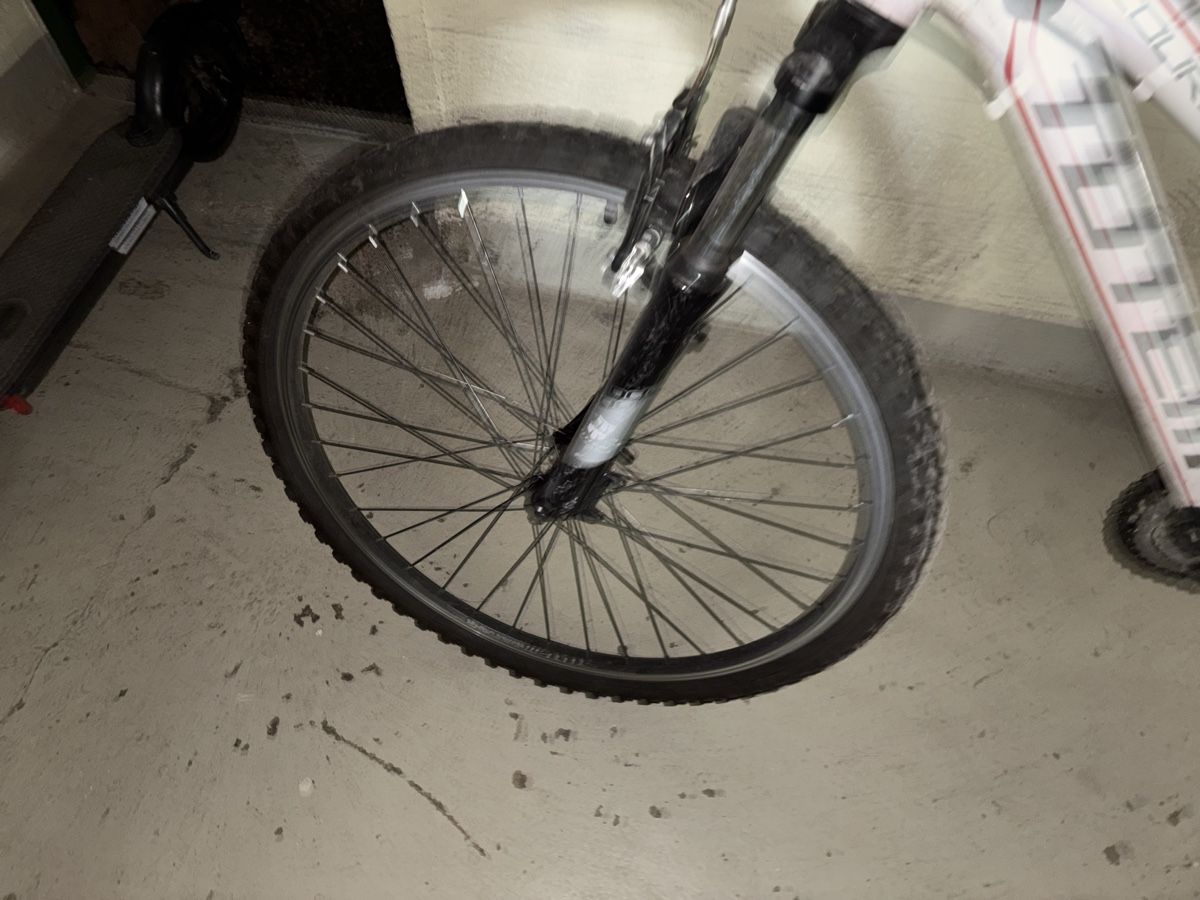 Totem Velos: Mountainbike Totem – Gebraucht aus Olten von Melxnie_46 3