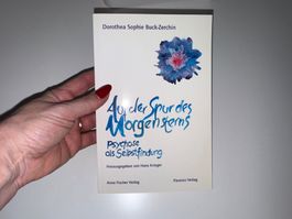 Buch: Auf der Spur des Morgensterns, D. S. Buck-Zerchin