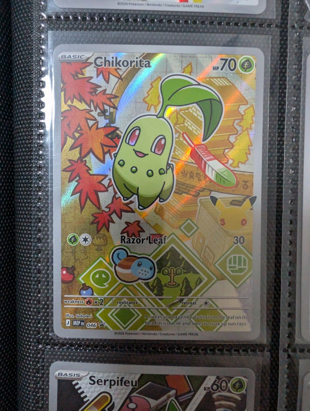 Pokémon Carte collezionabili: Pokemon Johto Starter - First Partner Series 2 - Englisch – Nuovo (secondo la descrizione) da Basel venduto da Master-Ball