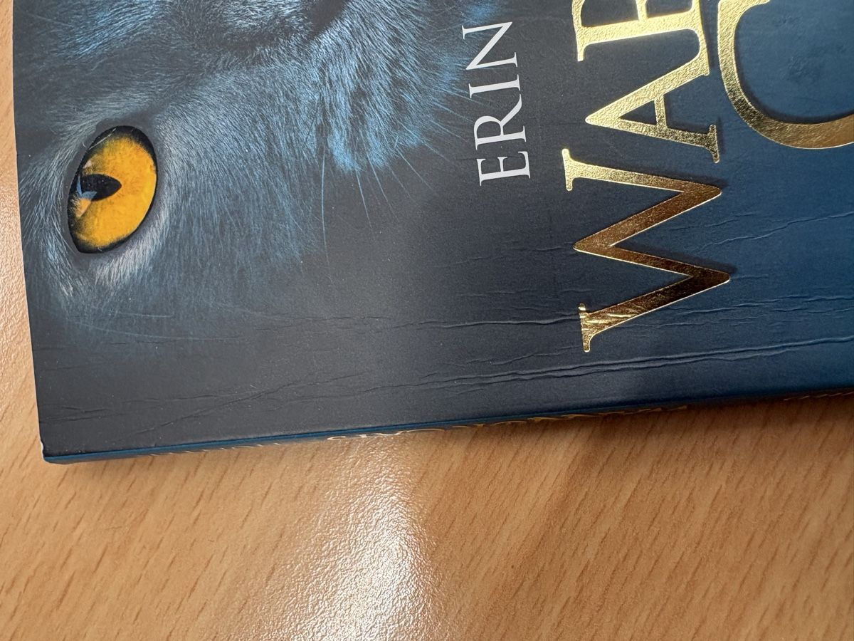 Bücher: Warrior Cats Kurzabenteuer 3 Buecher  – Gebraucht aus Gamsen von Jessi_Booh 2