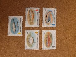 Marken Guernsey Fische