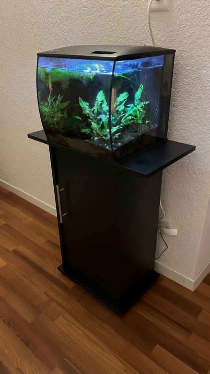 Aquariumset
