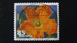 Vollstempel ZÜRICH - MÜLLIGEN 1.7.13    91