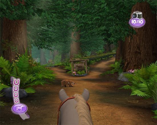 Nintendo Giochi: Ponie Freunds Shetland Ponys DS – Usato da Schüpfheim venduto da Games_Spielkonsolen 6
