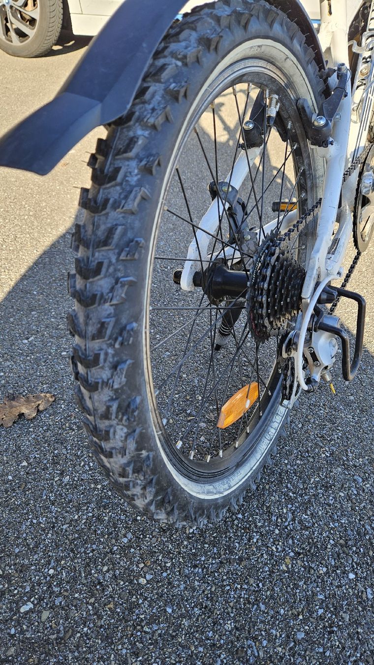 MTB Cycletech Biciclette: Kindervelo MTB Cycletech 20 Zoll – Usato da Abtwil SG venduto da Realsale 3