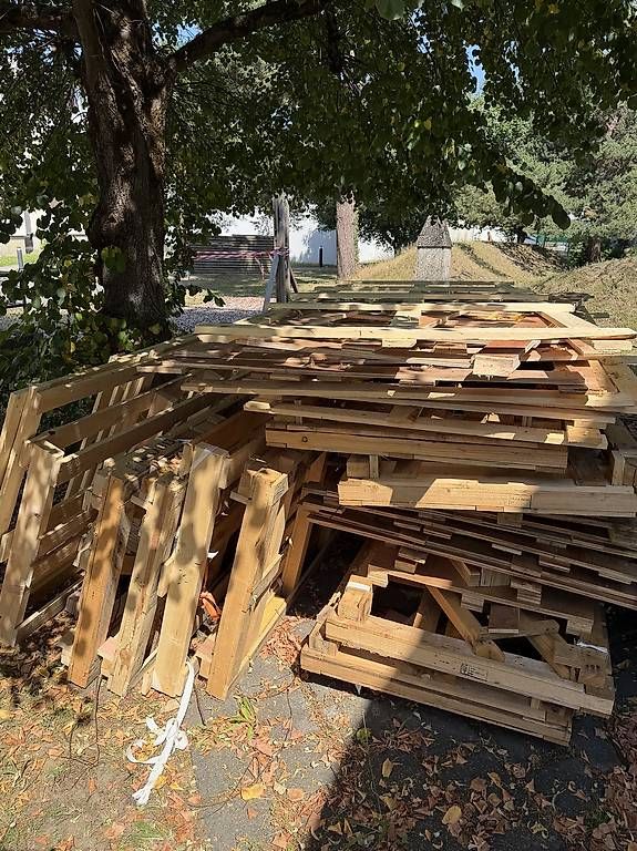 Holzartikel: Holz Gratis zur abholung – Gebraucht aus Oberentfelden von fmxstyle 2