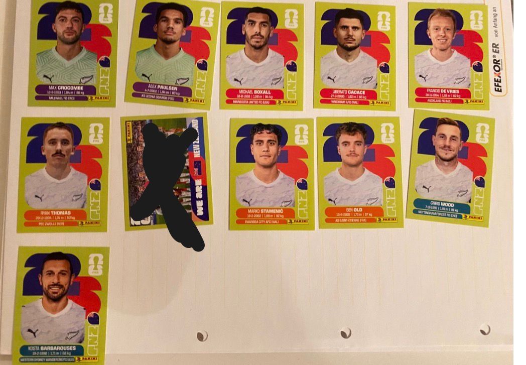 Panini Carte collezionabili: Panini WM 2026 Neuseeland NZL – Nuovo (secondo la descrizione) da Arbon venduto da arminnnn