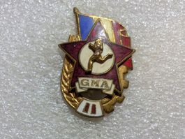 Ansteckpin 193: GMA
