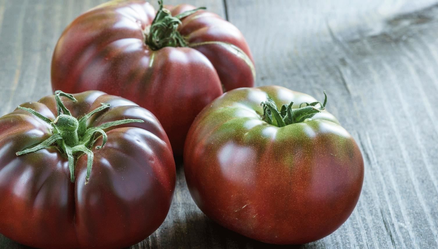 Piante & sementi: Tomate Brandywine noire  10g – Nuovo (secondo la descrizione) da Bremblens venduto da FIBONACCI369