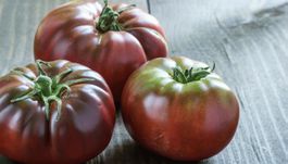 Tomate Brandywine noire  10g