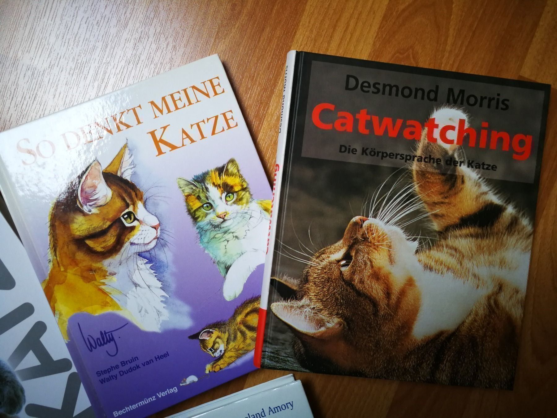 Livres: Katzenbücherset  4 - Teilig – D'occasion à Birrhard par Pry 2