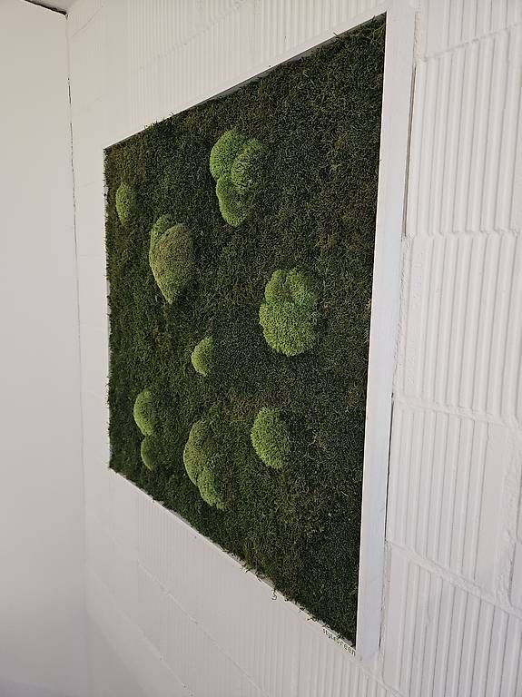Tutte le decorazioni: Moosbild Wandbild aus Moos Kugelmoos 80x80 – Usato da St. Gallen venduto da Rvrs1979 2