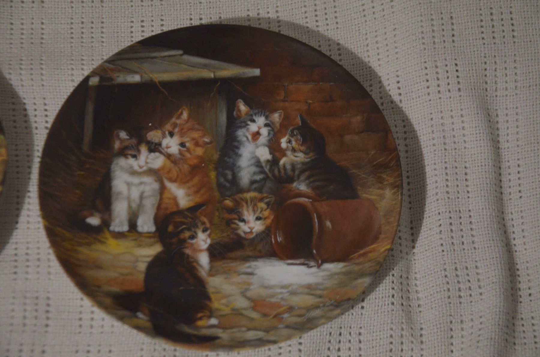 Piatti: TELLER KATZE – Nuovo (secondo la descrizione) da Chiasso venduto da Dolly015