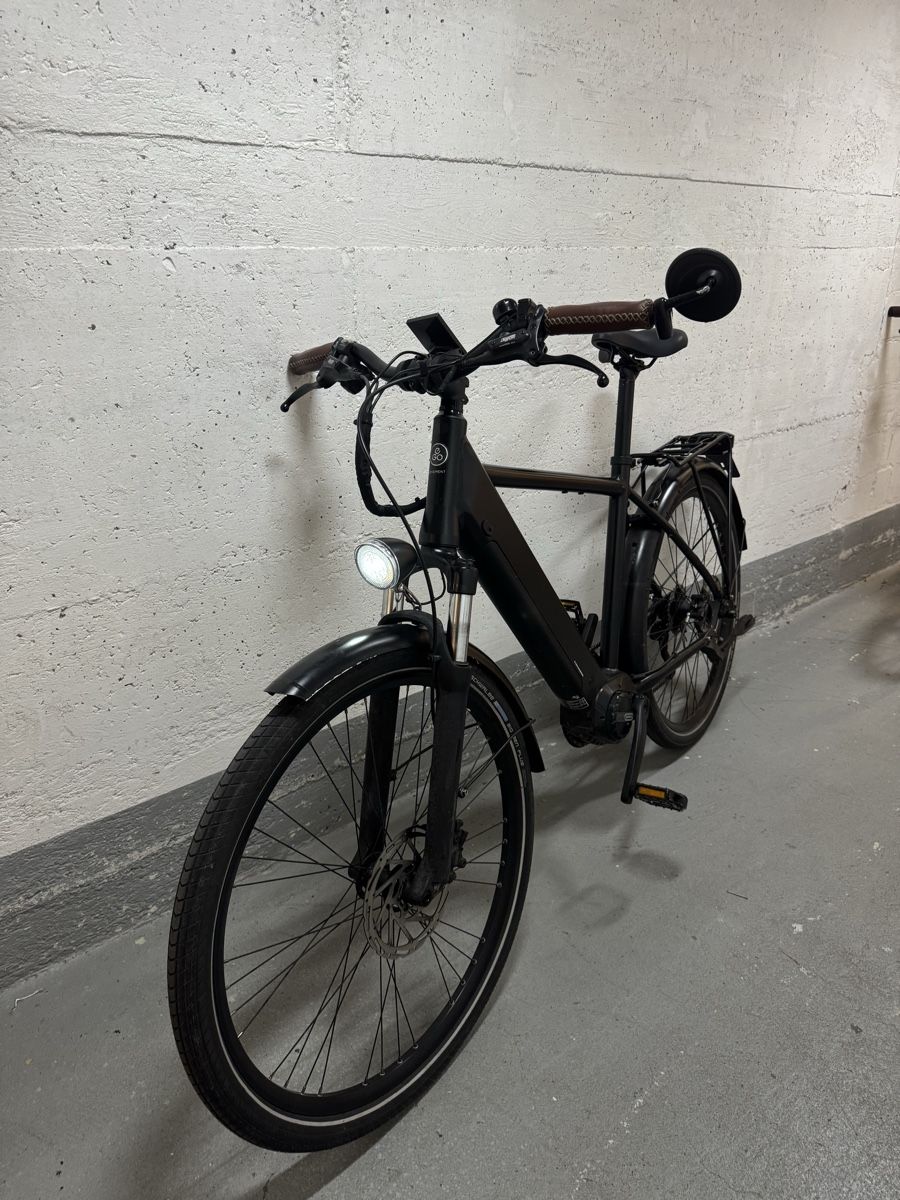 Biciclette: E- Bike Ego Movement – Usato da Wil SG venduto da andi_aliaj