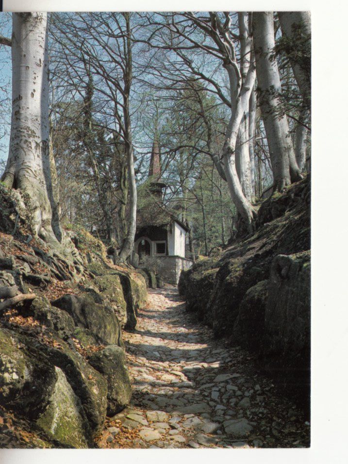 Ansichtskarten: Hohle Gasse ca. 1970 – Gebraucht aus Bürglen TG von StampGraf