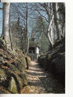 Hohle Gasse ca. 1970