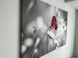 Bild auf Leinwand – 80 x 120 cm – Hingucker
