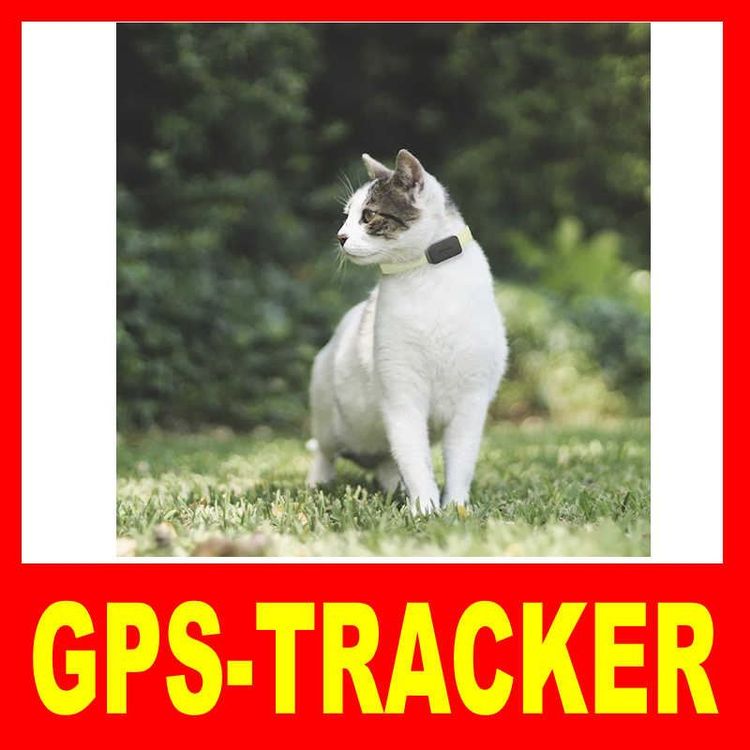 Invoxia Pet GPSTracker Katzen und Hunde Kaufen auf Ricardo
