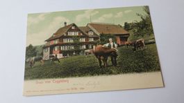 Gruss vom Toggenburg  - Bauernhof - Kühe - 1905