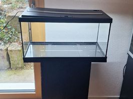 Aquarium Komplettset Eheim Aquastar 54 LED ink. Möbel