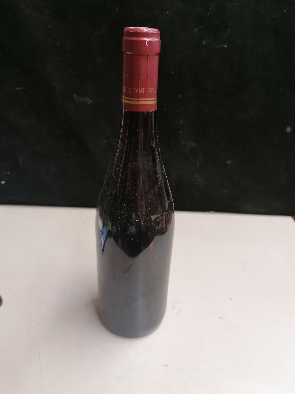 Wein: BEAUJOLAIS VILLAGES 2019 – Gebraucht aus Genève von Leboucheoreilles 5