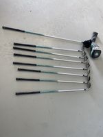 Wilson Staff D-100 Eisenset/Driver PW/SW Flex Damen Graphit