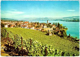 MEILEN - Generalansicht (im Sommer) ca. 1960 (ZH)