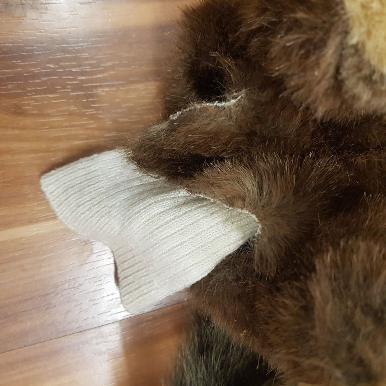 Giocattoli: Handpuppen Bär und Biber K10 – Usato da Schwarzenburg venduto da Sunny0290 2