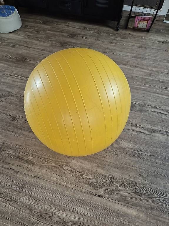 Palloni: Gymnastikball 50cm – Usato da Seengen venduto da sve_nh9c