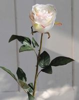 💥Restposten Grosshandel, Kunstblumen 12Stk. Rosen💥