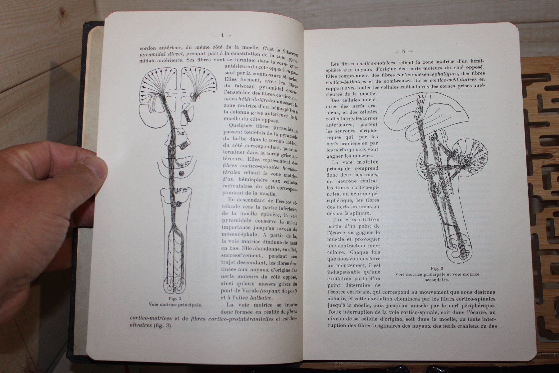 Libri: Les Maladies Nerveuses - A. van Gehuchten 1951 – Usato da Kaden venduto da Buchantiquariat 2