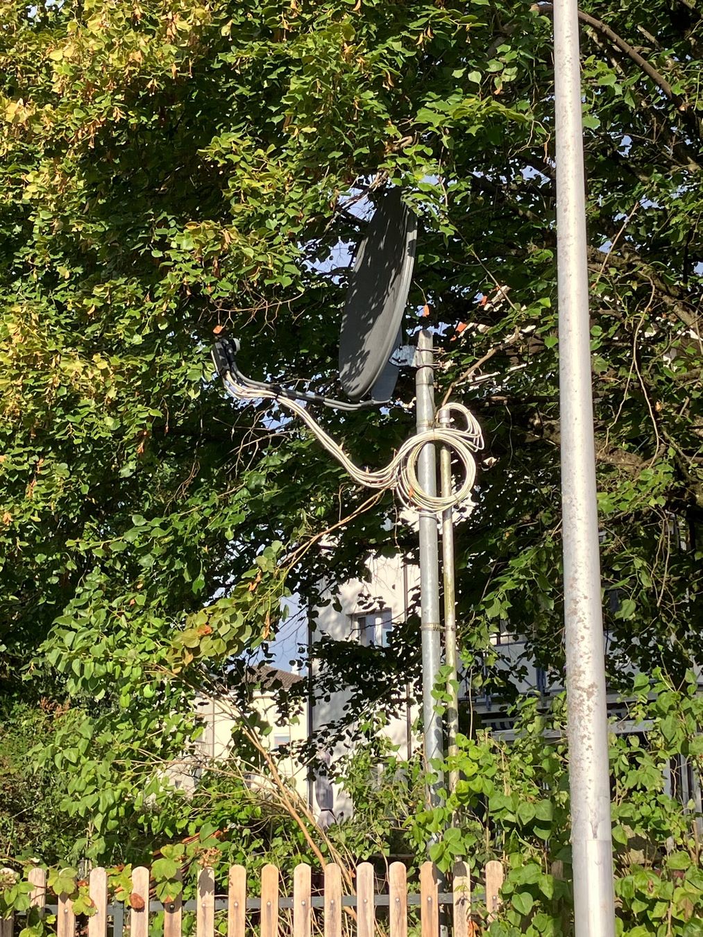 Schalen: Satellitenschüssel – Gebraucht aus Beromünster von iaf_8rr9 2