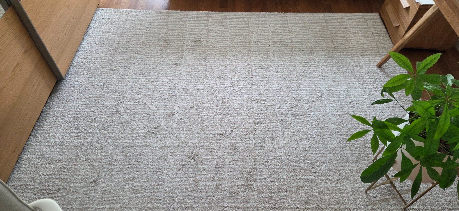 Ikea Tappeti: Ikea carpet LINDELSE 170x240cm – Usato da Basel venduto da karols102