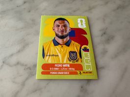 Panini FIFA Fussball WM 2026 Sticker Pedro Vite ECU 12