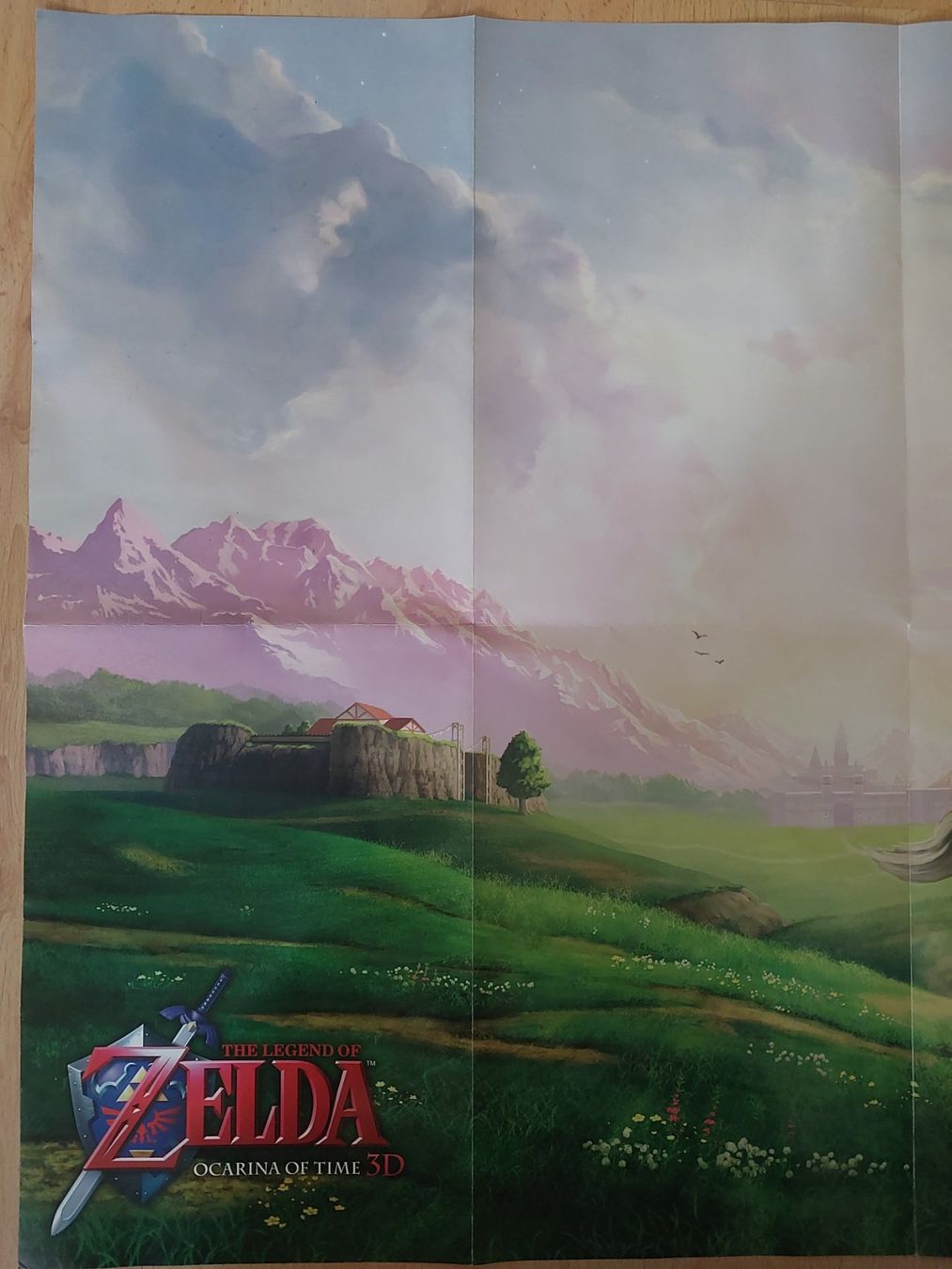 Foto & Immagini: Zelda Poster 100% Original – Usato da Thun venduto da Colibrie-Dorado 1