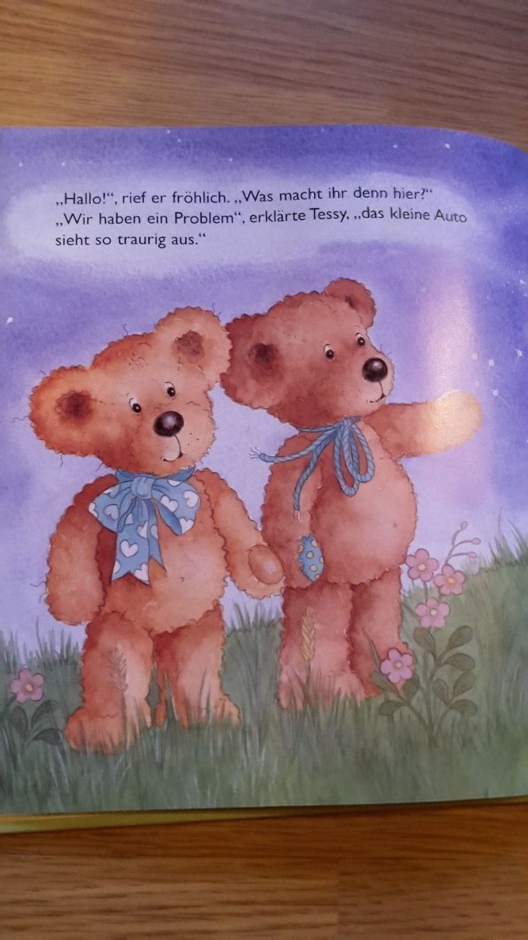 Libri: Buch die Zwillingsbärchen – Nuovo (secondo la descrizione) da Schwarzenburg venduto da Flamingo07 2