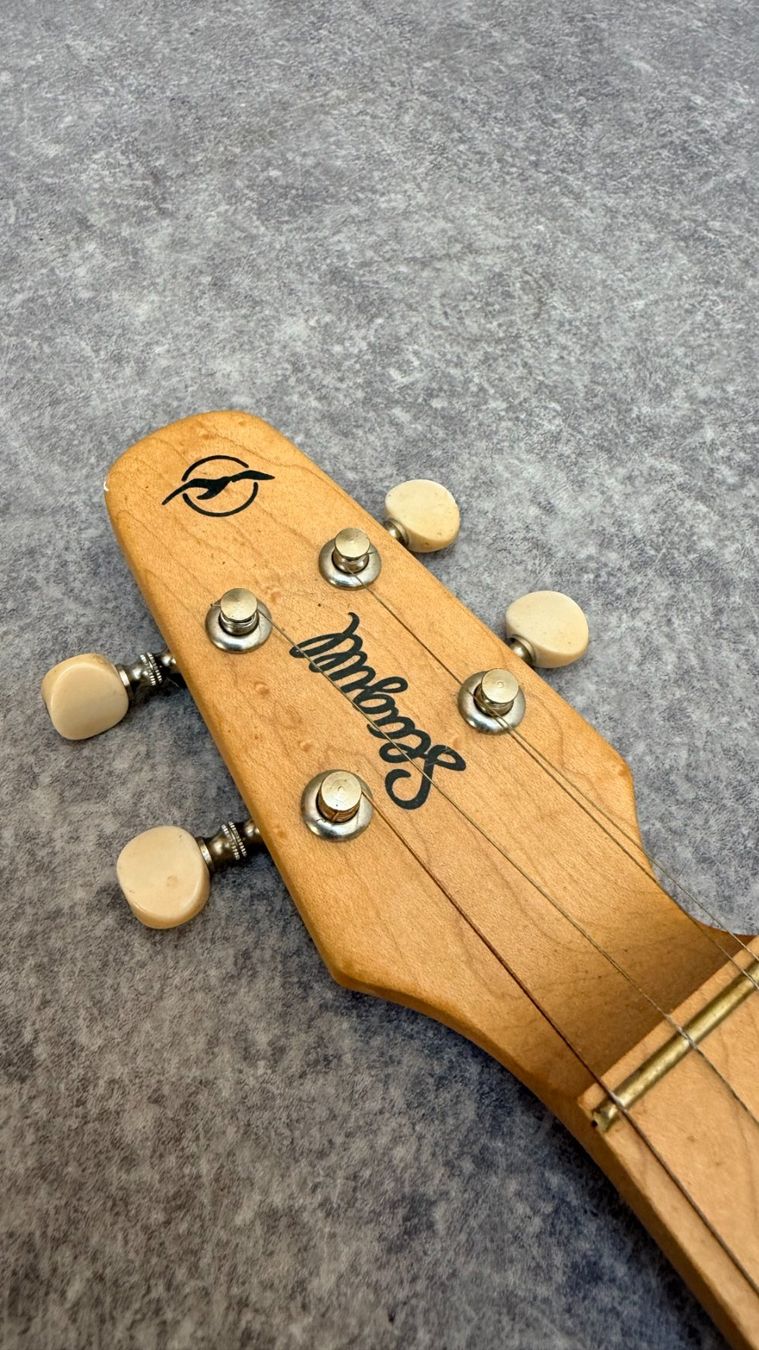 Instruments de musique: Seagull M4 Merlin Mahogany – D'occasion à Bulle par ABELiAM 1