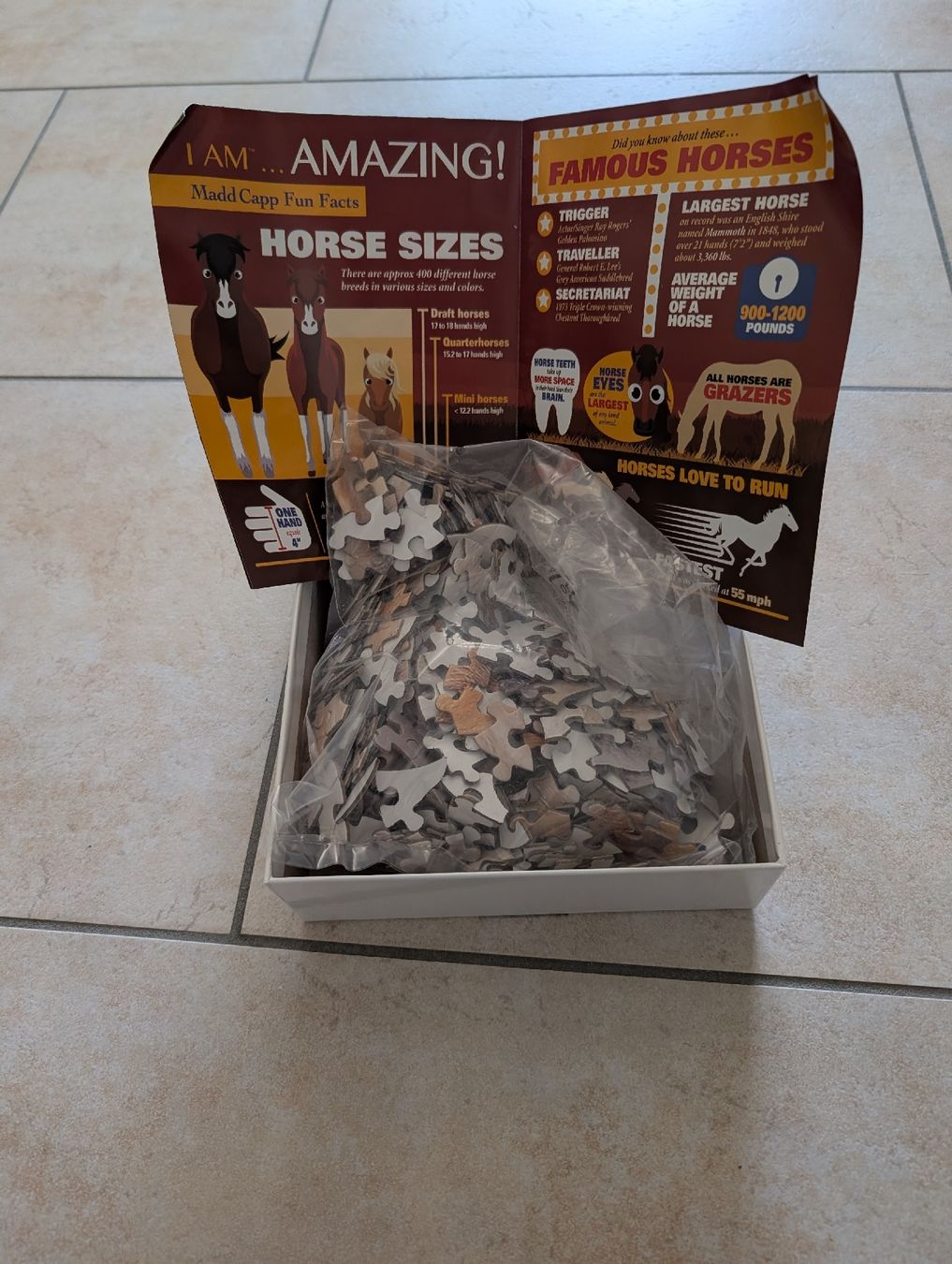 Puzzle: Puzzle 300 Teile – Nuovo e nell'imballaggio originale da Rudolfstetten venduto da rosali59 1