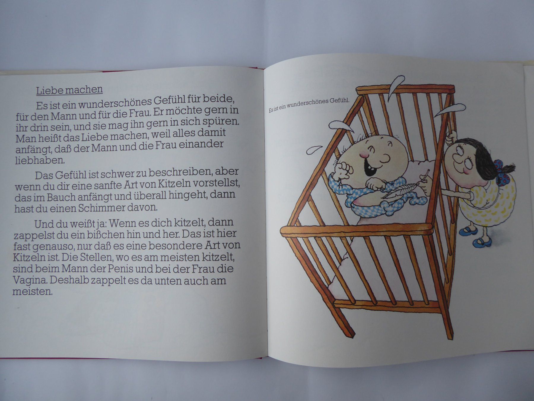 Libri: Aufklärungs Buch Wo komm`ich eigentlich her? – Usato da Turbenthal venduto da Panau 3