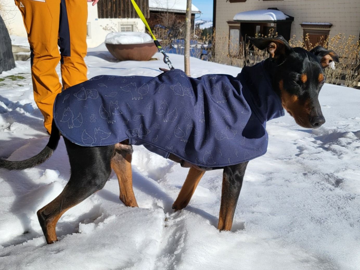 Bekleidung: Reflektierender Hunde-Wintermantel – Neu (gemäss Beschreibung) aus Schwellbrunn von Pedale72 4