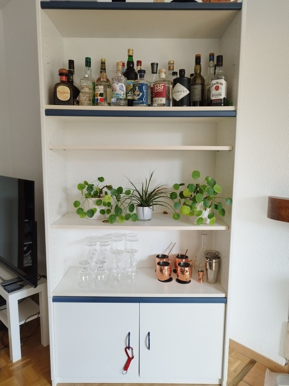 Regale: Bibliothèque/armoire – Gebraucht aus Gland von nic_kc99