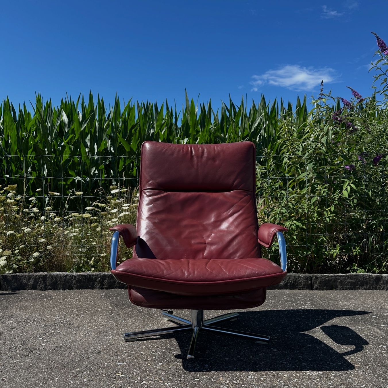 Poltrone: Vintage Ledersessel / Loungesessel – Usato da Zürich venduto da frauflufelberg 2