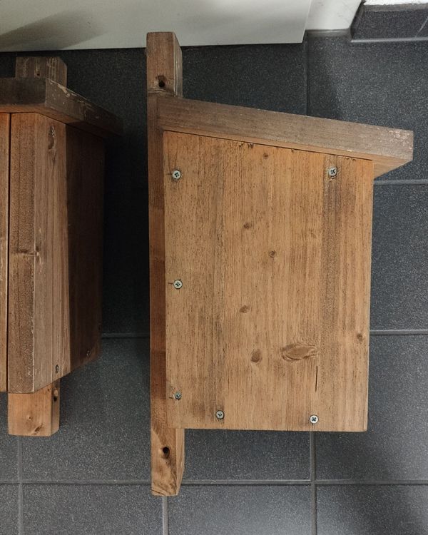 2 Nistkasten für Vögel Kaufen auf Ricardo