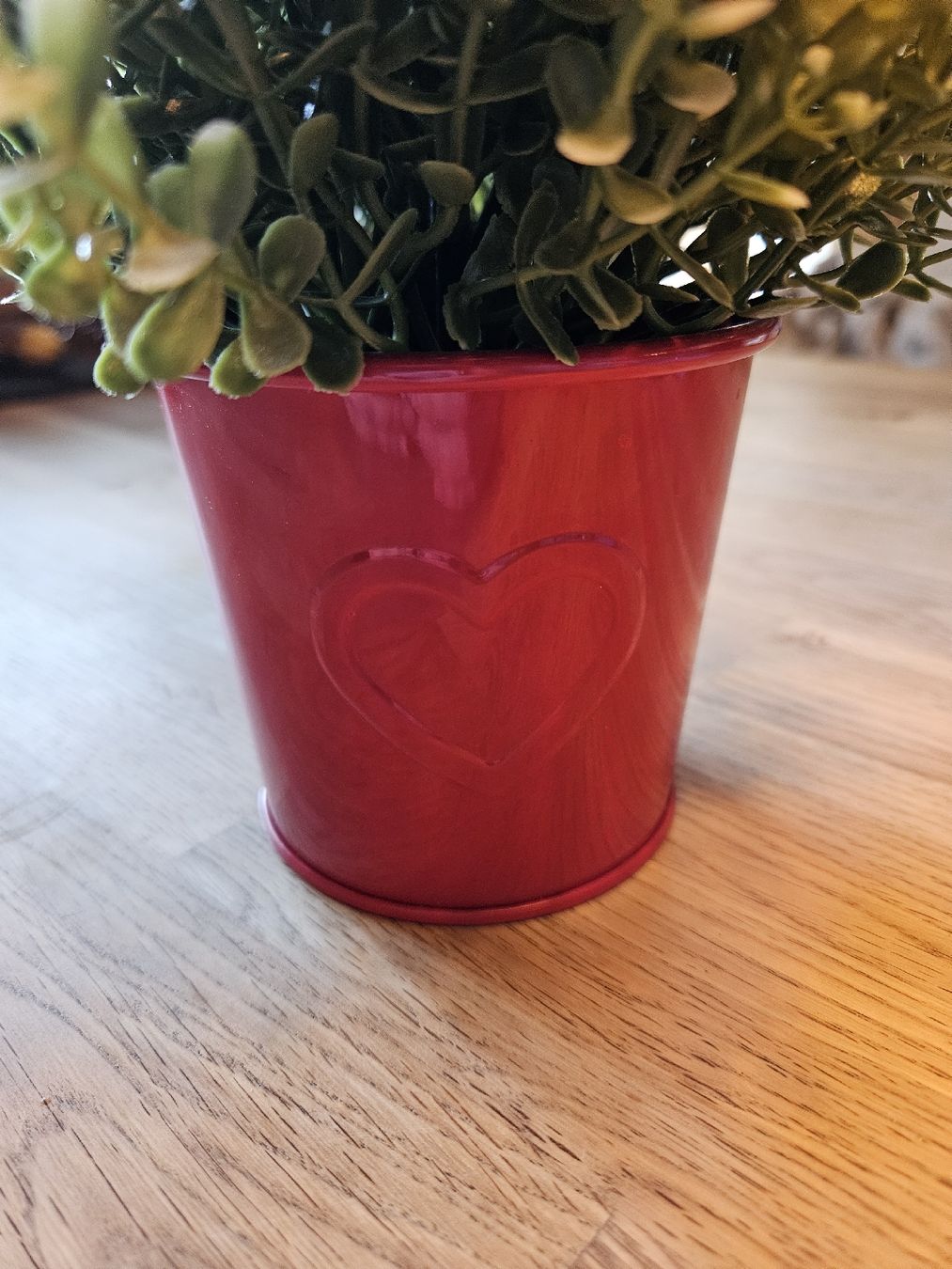 Ikea Alle Dekorationen: Deko Pflanze mit rotem Topf IKEA VINTER 2018 klein – Gebraucht aus Davos Platz von egl_h2gt 1