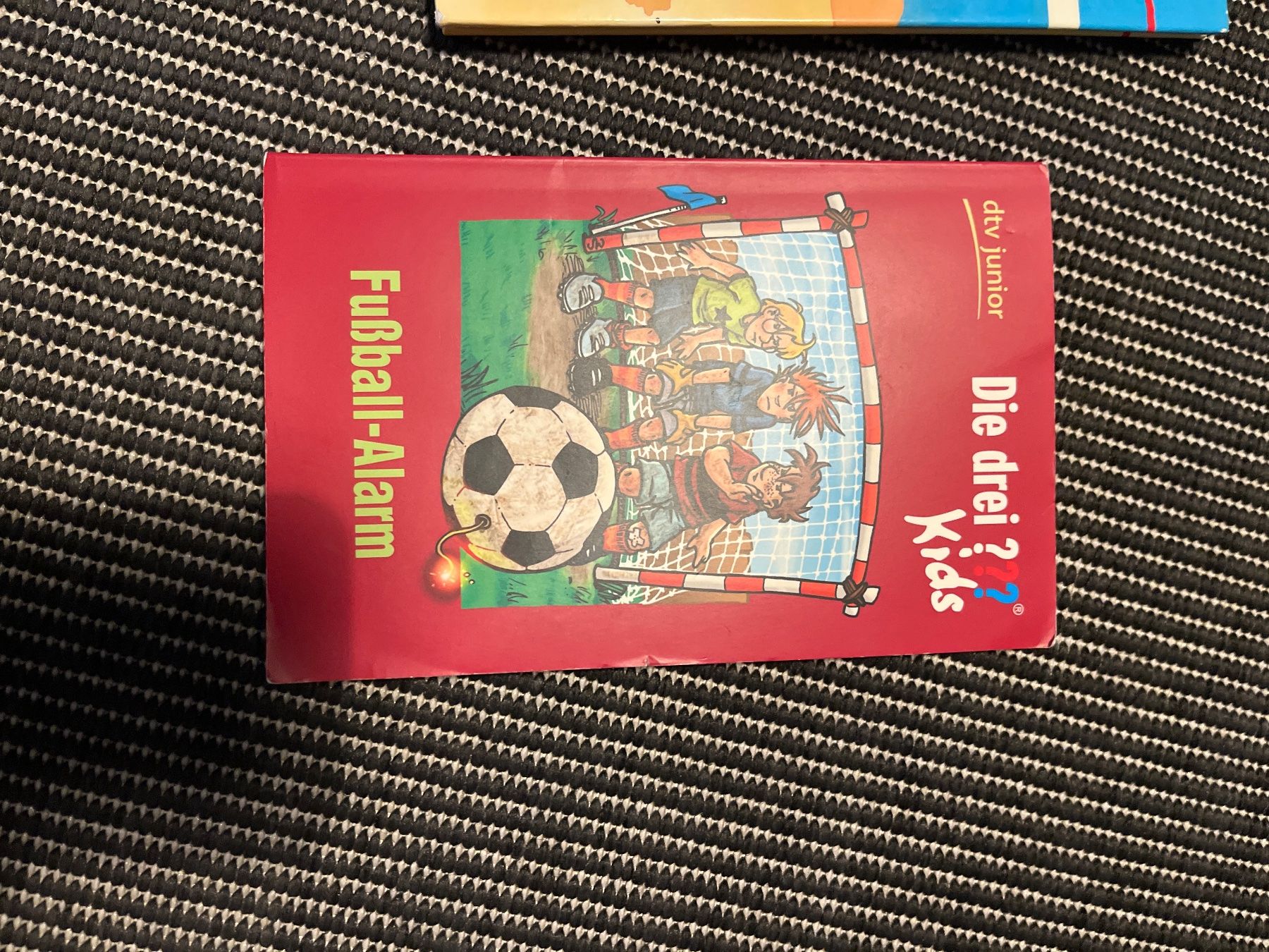 Libri: Friederun Reichenstetter - Paula Blitzgescheit, Kinderbuch – Usato da Stallikon venduto da Danisibu 2
