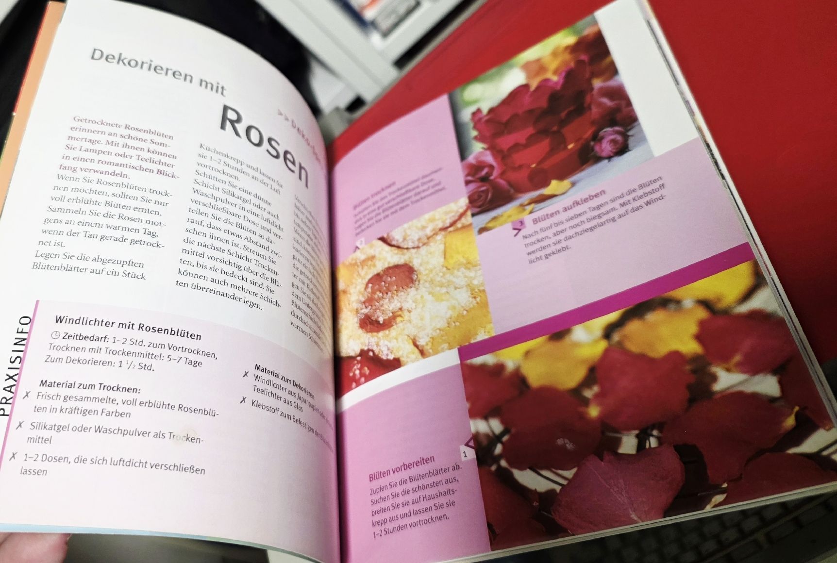 Bücher: Rosen - schnell & einfach - GU (BUCH) – Gebraucht aus Reinach BL von _MasterK_ 6
