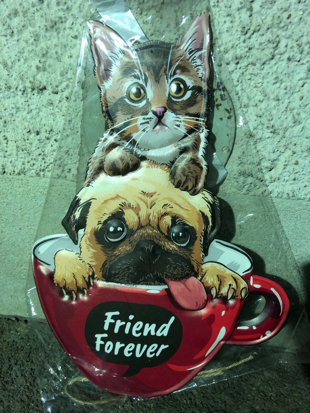 Insegne: Friend forever hund katze mops tier deko – Nuovo (secondo la descrizione) da Reinach AG venduto da rares75