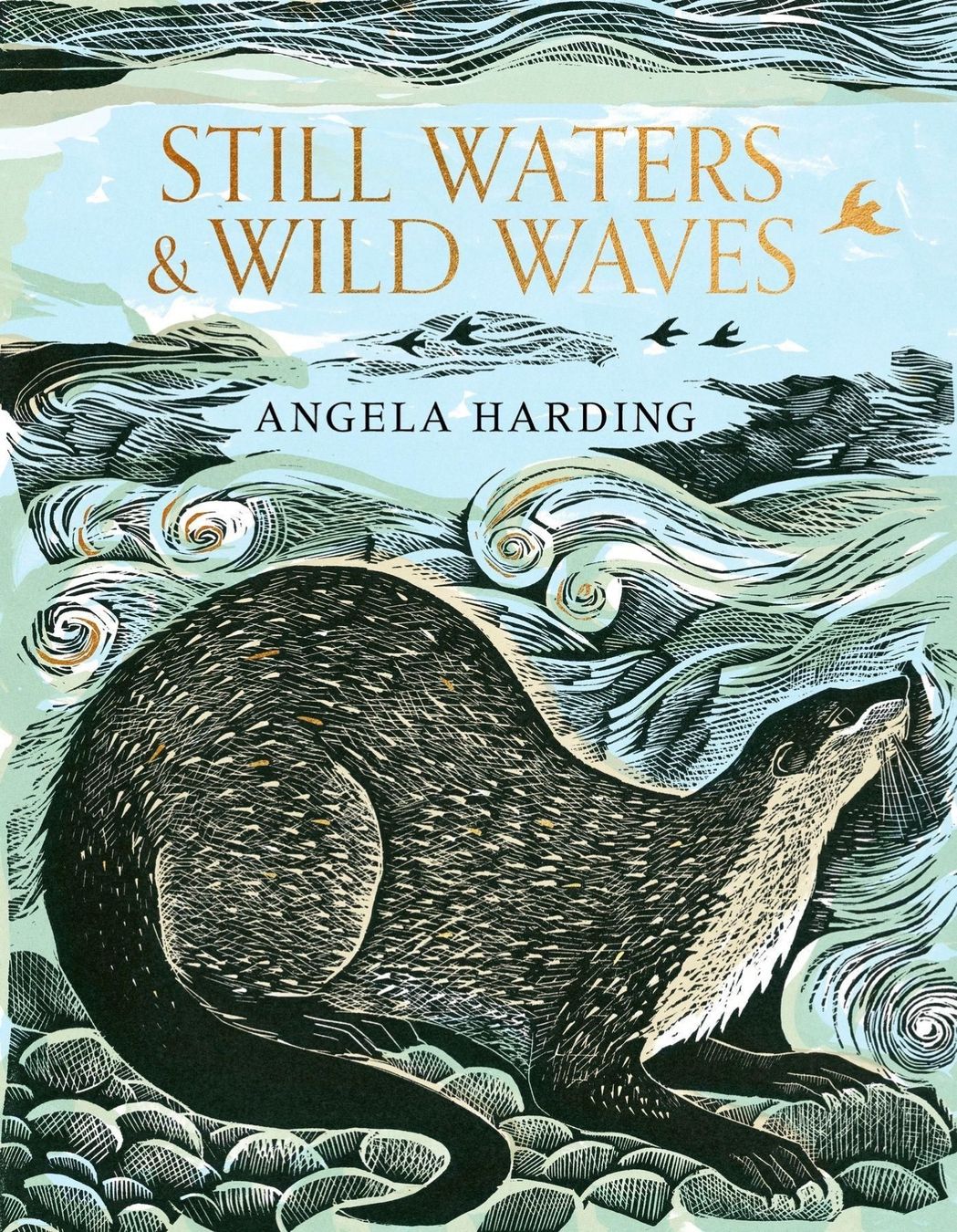 Livres: Still Waters & Wild Waves – D'occasion à Kriens par Neffski