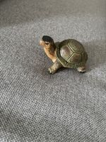 Schildkröte 