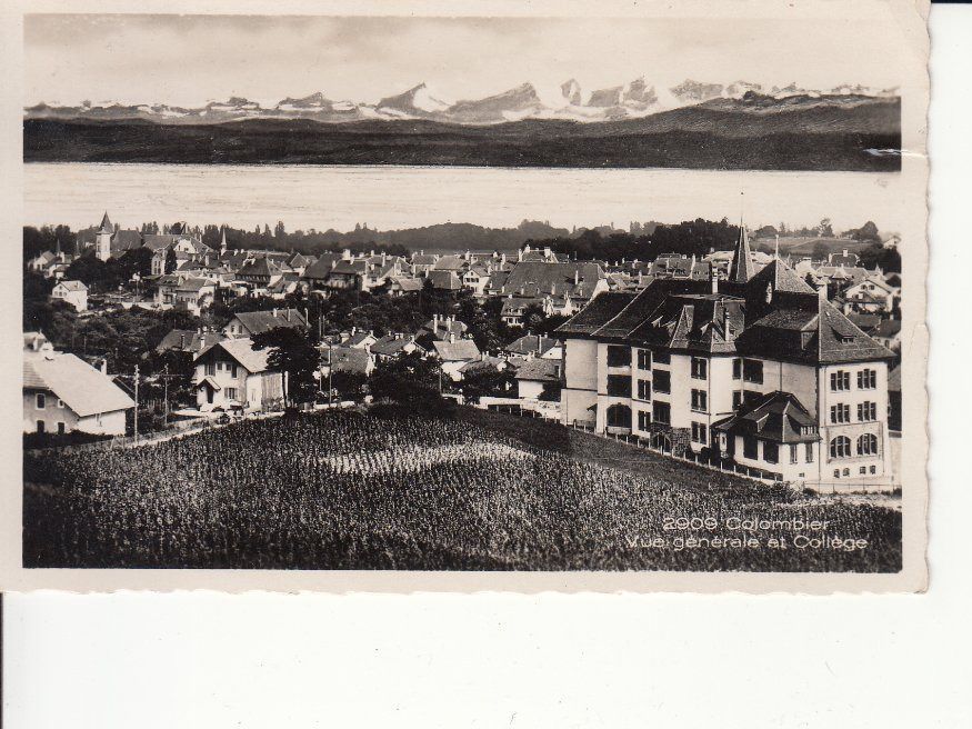 Cartoline postali: Colombier 1935 – Usato da Bürglen TG venduto da StampGraf